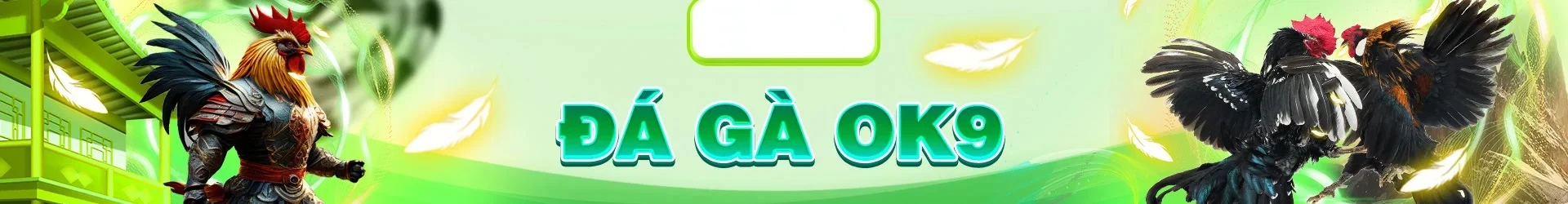 banner đá gà